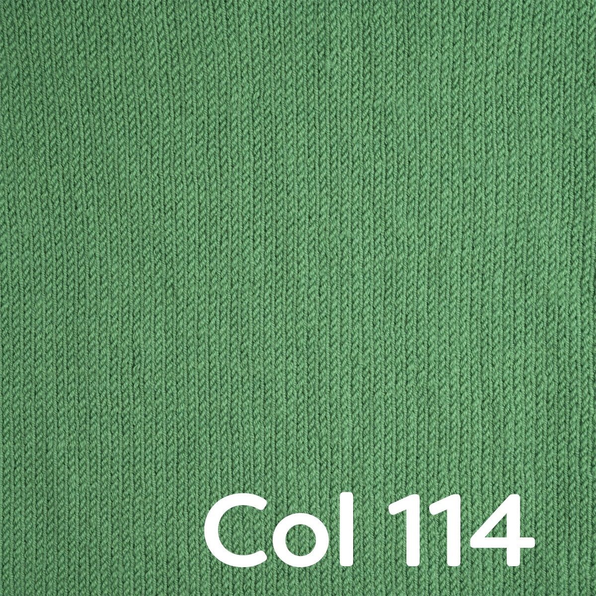 Image du produit 47