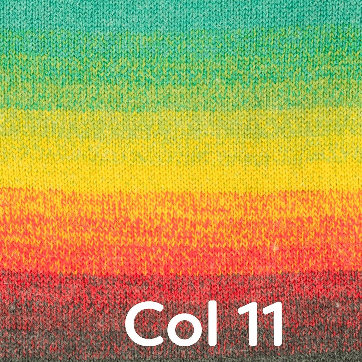Image du produit 13