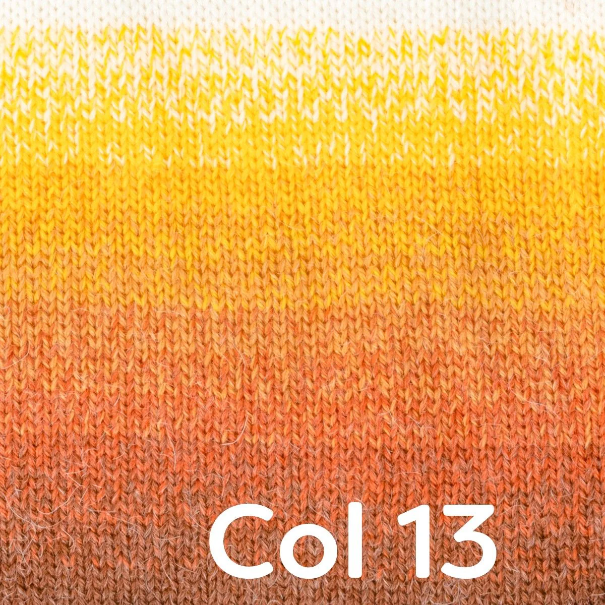 Image du produit 15