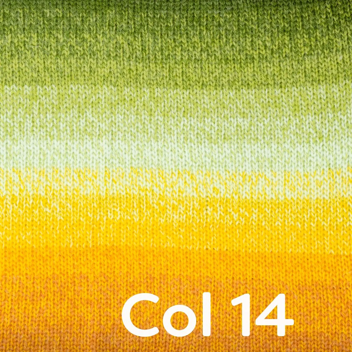 Image du produit 16