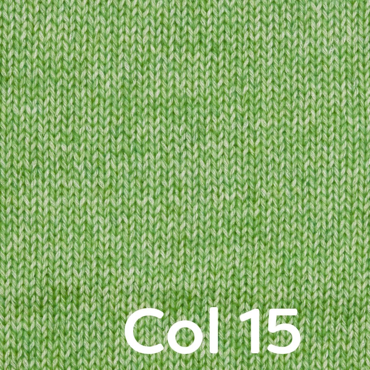 Image du produit 15